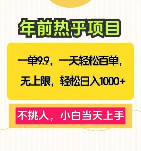 一单9.9，一天百单无上限，不挑人，小白当天上手，轻松日入1000+-Z网创