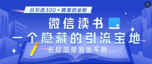 微信读书，一个隐藏的引流宝地，不为人知的小众打法，日引流300+精准创业粉，长尾流量源源不断-Z网创