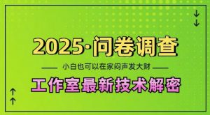 2025问卷调查最新工作室技术解密:一个人在家也可以闷声发大财,小白一天2张,可矩阵放大【揭秘】-Z网创
