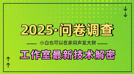 2025问卷调查最新工作室技术解密:一个人在家也可以闷声发大财,小白一天2张,可矩阵放大【揭秘】-Z网创