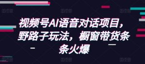 视频号AI语音对话项目,野路子玩法,橱窗带货条条火爆-Z网创