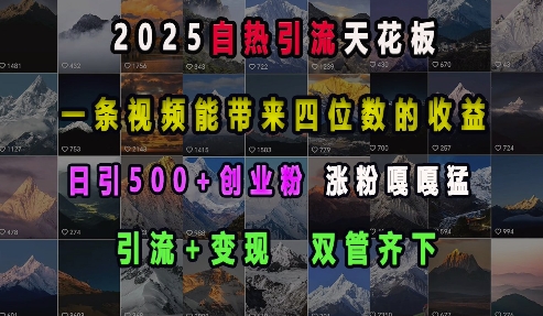 2025自热引流天花板,一条视频能带来四位数的收益,引流+变现双管齐下,日引500+创业粉,涨粉嘎嘎猛-Z网创
