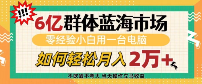 6亿群体蓝海市场,零经验小白用一台电脑,如何轻松月入过w【揭秘】-Z网创
