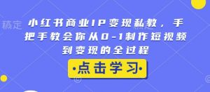 小红书商业IP变现私教，手把手教会你从0-1制作短视频到变现的全过程-Z网创