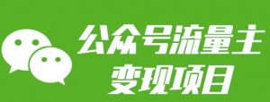 公众号流量主变现项目：每天2小时，普通人每月多挣三五千-Z网创