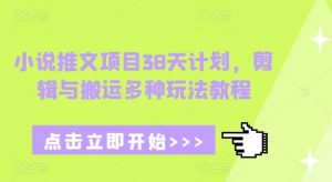 小说推文项目38天计划，剪辑与搬运多种玩法教程-Z网创