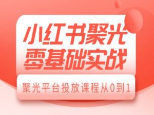小红书聚光零基础实战,聚光平台投放课程从0到1-Z网创