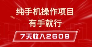 纯手机操作的小项目,有手就能做,7天收入2609+实操教程【揭秘】-Z网创