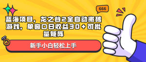 蓝海项目，龙之谷2全自动搬砖游戏，单窗口日收益30＋可批量矩阵-Z网创