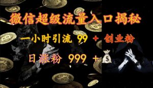 微信超级流量入口揭秘:一小时引流 99 + 创业粉,日涨粉 999 +-Z网创