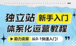 独立站新手入门体系化运营教程，助力独立站卖家从0-1快速入门!-Z网创