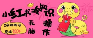 小红书冷知识账号,无脑复制粘贴,5分钟即可变现3张-Z网创