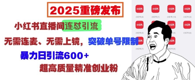 2025重磅发布:小红书直播间连怼引流,无需连麦、无需上镜,突破单号限制,暴力日引流600+-Z网创