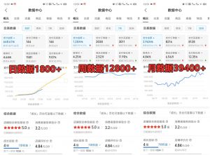 拼多多虚拟店铺项目，电脑挂机自动发货，单店日利润300+-Z网创