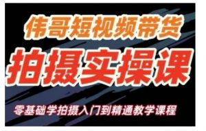 短视频带货拍摄实操课,零基础学拍摄入门到精通教学-Z网创