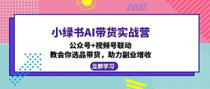 小绿书AI带货实战营：公众号+视频号联动，教会你选品带货，助力副业增收-Z网创