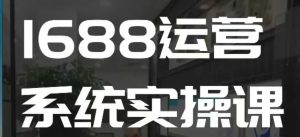 1688高阶运营系统实操课，快速掌握1688店铺运营的核心玩法-Z网创