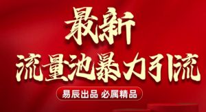 最新“流量池”无门槛暴力引流(全网首发)日引500+-Z网创