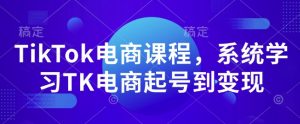 TikTok电商课程,系统学习TK电商起号到变现-Z网创