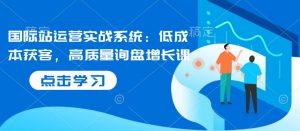 国际站运营实战系统:低成本获客,高质量询盘增长课-Z网创