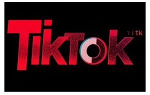TikTok ads投流秘籍,涵盖tiktok整体投放思路,教你搭建测试计划-Z网创