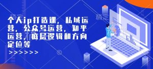个人ip打造课，私域运营，公众号运营，知乎运营，底层逻辑和方向定位等-Z网创