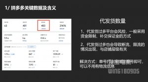 纪主任·拼多多年费会员(更新2025年1月)-Z网创