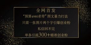 小红书神奇图片引流法，只需一张图，就能单条笔记凭借此方法，轻松引流 300 + 精准创业粉-Z网创