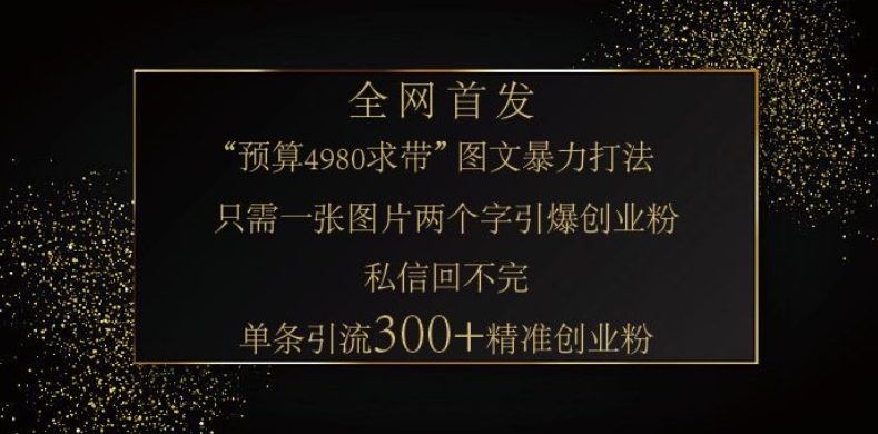小红书神奇图片引流法，只需一张图，就能单条笔记凭借此方法，轻松引流 300 + 精准创业粉-Z网创