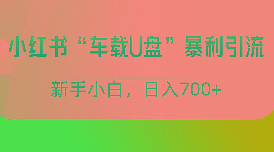 小红书“车载U盘”项目,暴利引流,新手小白轻松日入700+-Z网创
