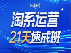 淘系运营21天速成班35期，年前最后一波和2025方向-Z网创
