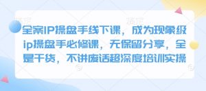 全案IP操盘手线下课，成为现象级ip操盘手必修课，无保留分享，全是干货，不讲废话超深度培训实操-Z网创