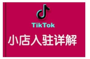 TikTok跨境小店运营全攻略,帮助你独立运营TK跨境小店的能力,实现销量增长-Z网创