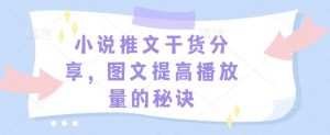 小说推文干货分享，图文提高播放量的秘诀-Z网创
