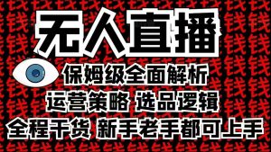 2025无人直播这么做就对了，保姆级全面解析，全程干货，新手老手都可上手-Z网创