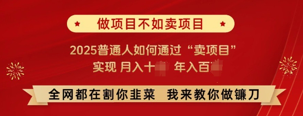必看，做项目不如卖项目，2025普通人如何通过“卖项目”实现月入十个，年入百个-Z网创