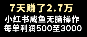 全网首发，7天赚了2.6万，2025利润超级高！-Z网创