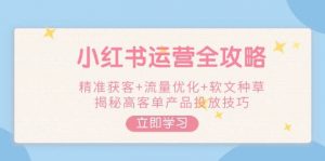 小红书运营全攻略,精准获客+流量优化+软文种草,揭秘高客单产品投放技巧-Z网创