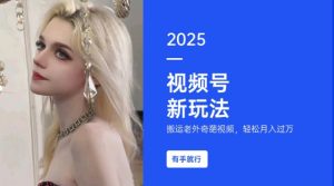 搬运老外奇葩视频，撸视频号分成计划收益，每天只需一小时，新手小白轻松月入过W-Z网创