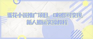 蛋花小说推文项目，0粉即可变现，新人搬运实操教程-Z网创