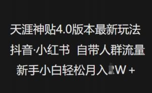 天涯神贴4.0版本最新玩法，抖音·小红书自带人群流量，新手小白轻松月入过W-Z网创