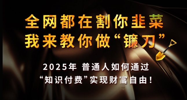 全网都在割你韭菜,我来教你做镰刀,2025年普通人如何通过 知识付费 实现财F自由【揭秘】-Z网创