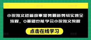 小说推文短篇故事混剪最新剪辑实操全流程，0基础也能学会小说推文教程，肯干多发日入多张-Z网创