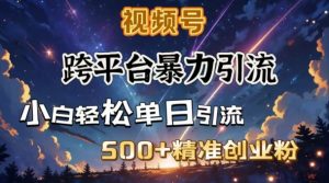 跨平台暴力引流，私域完美闭环，日引500+精准创业粉-Z网创