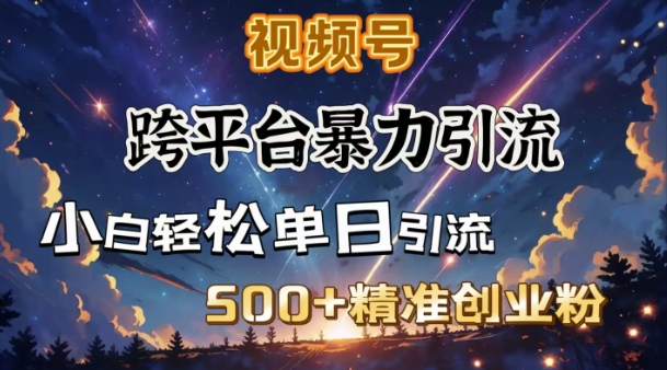 跨平台暴力引流，私域完美闭环，日引500+精准创业粉-Z网创
