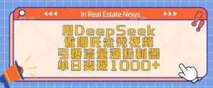用DeepSeek做哪吒走秀视频，引爆流量涨粉利器，单日变现1k-Z网创