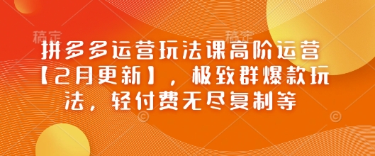 拼多多运营玩法课高阶运营【2月更新】，极致群爆款玩法，轻付费无尽复制等-Z网创