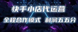快手小店代运营 限时托管计划 合作模式 利润五五分成【揭秘】-Z网创