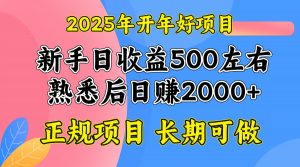 2025开年好项目，单号日收益2000左右-Z网创