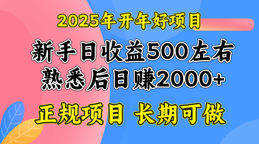 2025开年好项目，单号日收益2000左右-Z网创